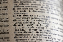 A close-up view of a dictionary page showing words and definitions related to 'diversion' and 'diversity'. The text is crisp with clear phonetic transcription and explanations in a serif font. The paper has a textured, off-white appearance, suggesting age or frequent use.