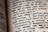 An open dictionary focusing on the word 'censorship' with related terms and pronunciations nearby. The print is clear, emphasizing the definitions and their phonetic transcriptions.