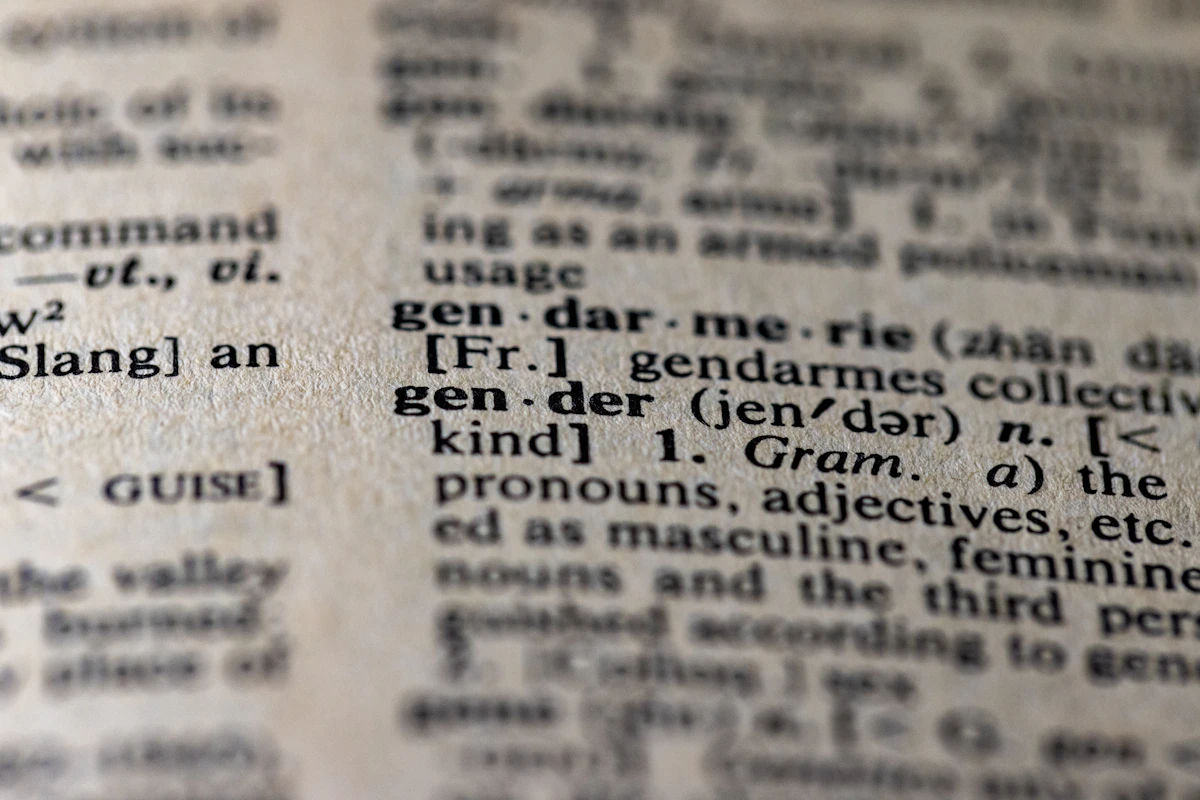 How to use Grammar Case Fixer for a real task
