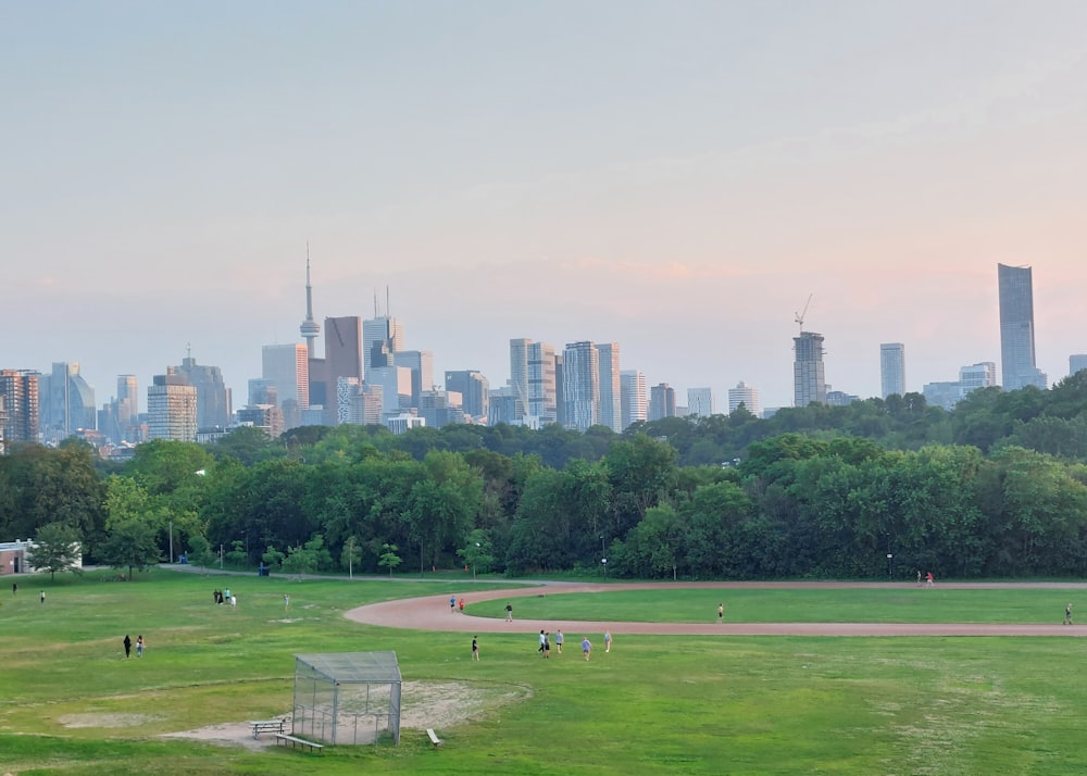 a grassy field with a city in the background