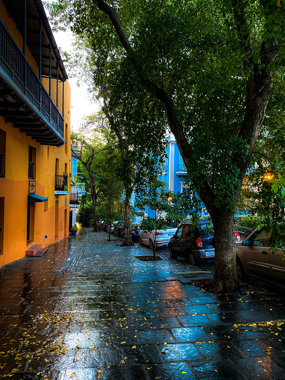 a wet street with cars parked on the side of it