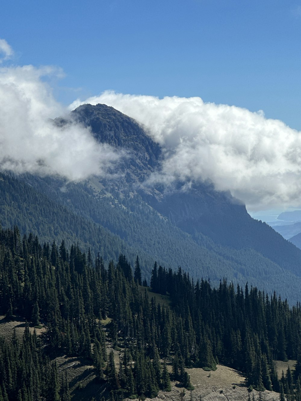 a view of a mountain covered in clouds and trees