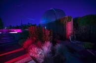 An observatory dome is illuminated in a vivid blue light, surrounded by lush vegetation. The foreground features a pathway with patches of grass and plants bathed in red and pink lighting, creating a striking contrast. A crane and other constructions appear faintly in the background under a starry night sky.