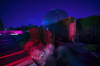 An observatory dome is illuminated in a vivid blue light, surrounded by lush vegetation. The foreground features a pathway with patches of grass and plants bathed in red and pink lighting, creating a striking contrast. A crane and other constructions appear faintly in the background under a starry night sky.