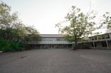 A large open courtyard surrounded by school buildings with large glass windows. There are trees with green leaves on both sides, and a pathway leading to the entrance of the building. The setting is peaceful and quiet, with sunlight filtering through the trees.