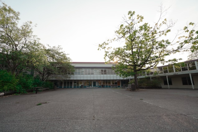 A large open courtyard surrounded by school buildings with large glass windows. There are trees with green leaves on both sides, and a pathway leading to the entrance of the building. The setting is peaceful and quiet, with sunlight filtering through the trees.