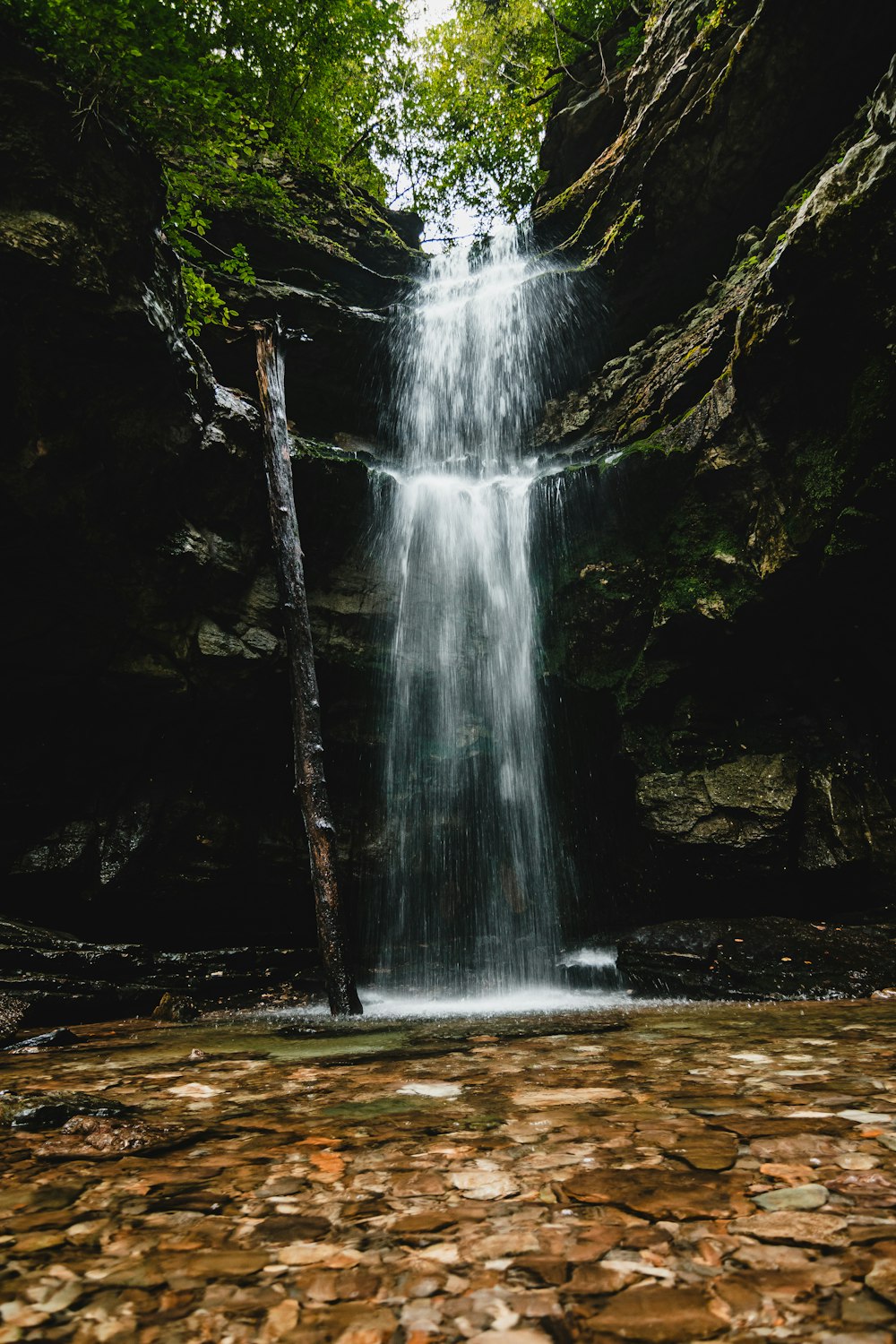 a waterfall in the middle of a forest