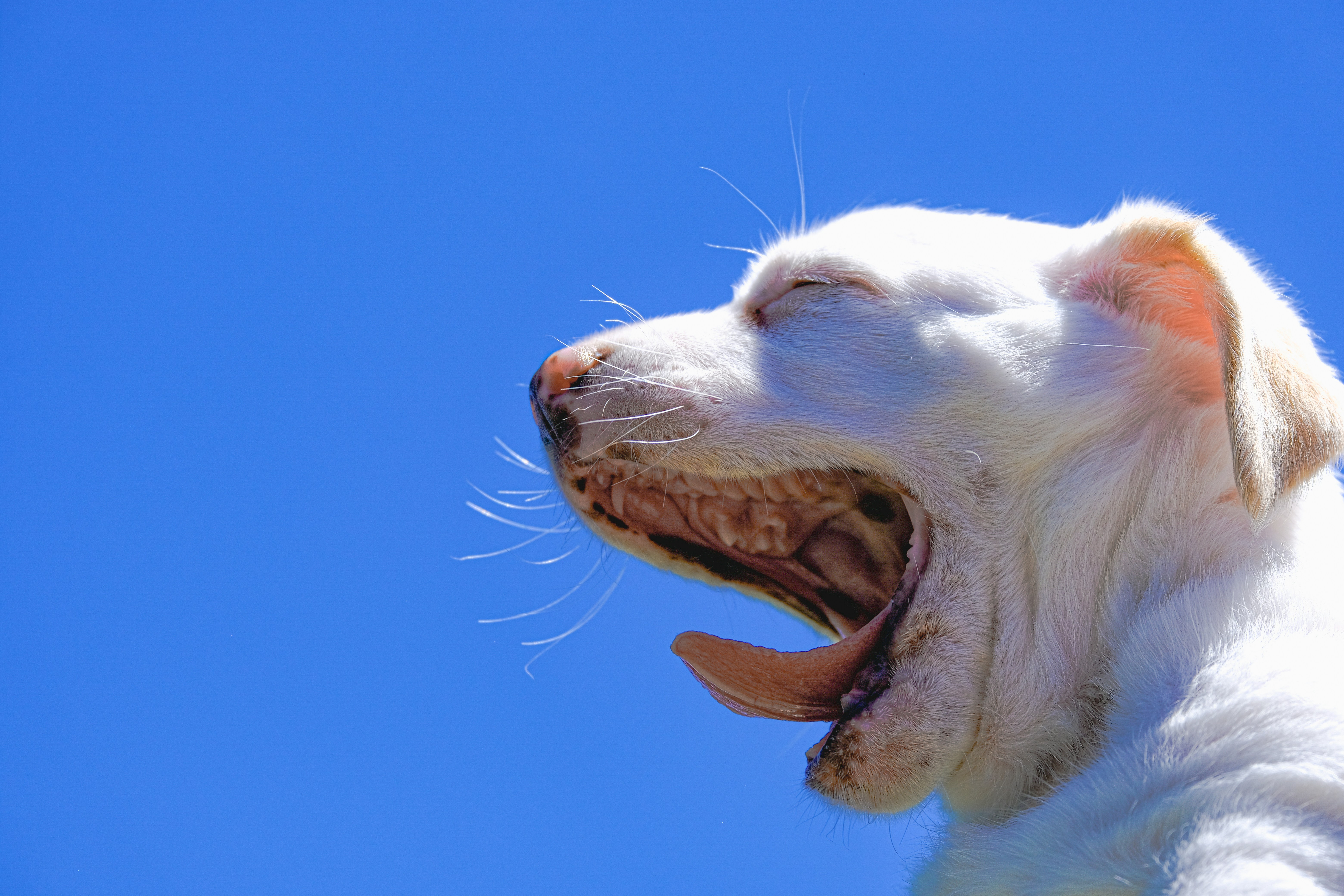 Photo by cestmoisheedy