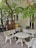 A small outdoor seating area features a white concrete table with two benches. The benches have red text, one reading 'THE CHILL GOURMET' and the other 'THUẬN HẢI HOTEL'. Lush green tree branches with broad leaves hang overhead, casting shadows on the tiled ground.