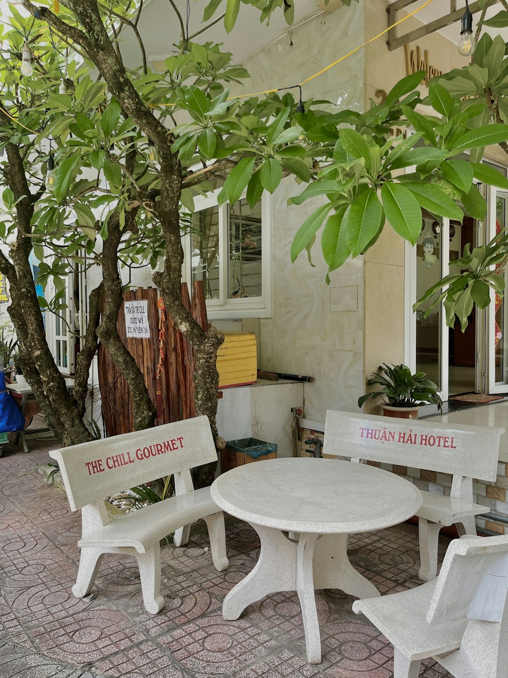 a couple of white benches sitting next to a tree