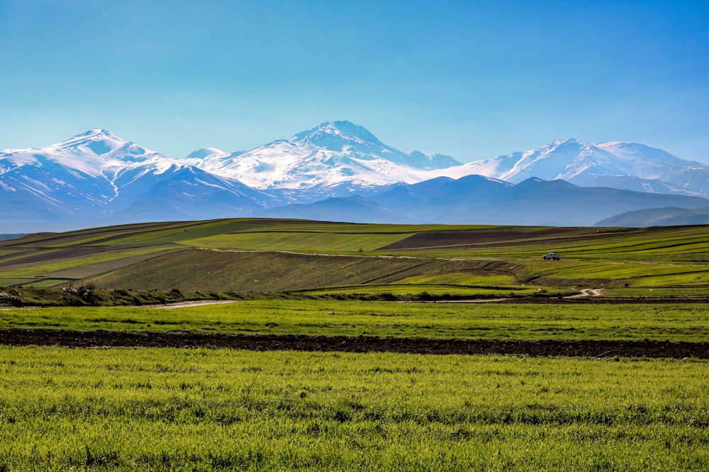 a green field with mountains in the background