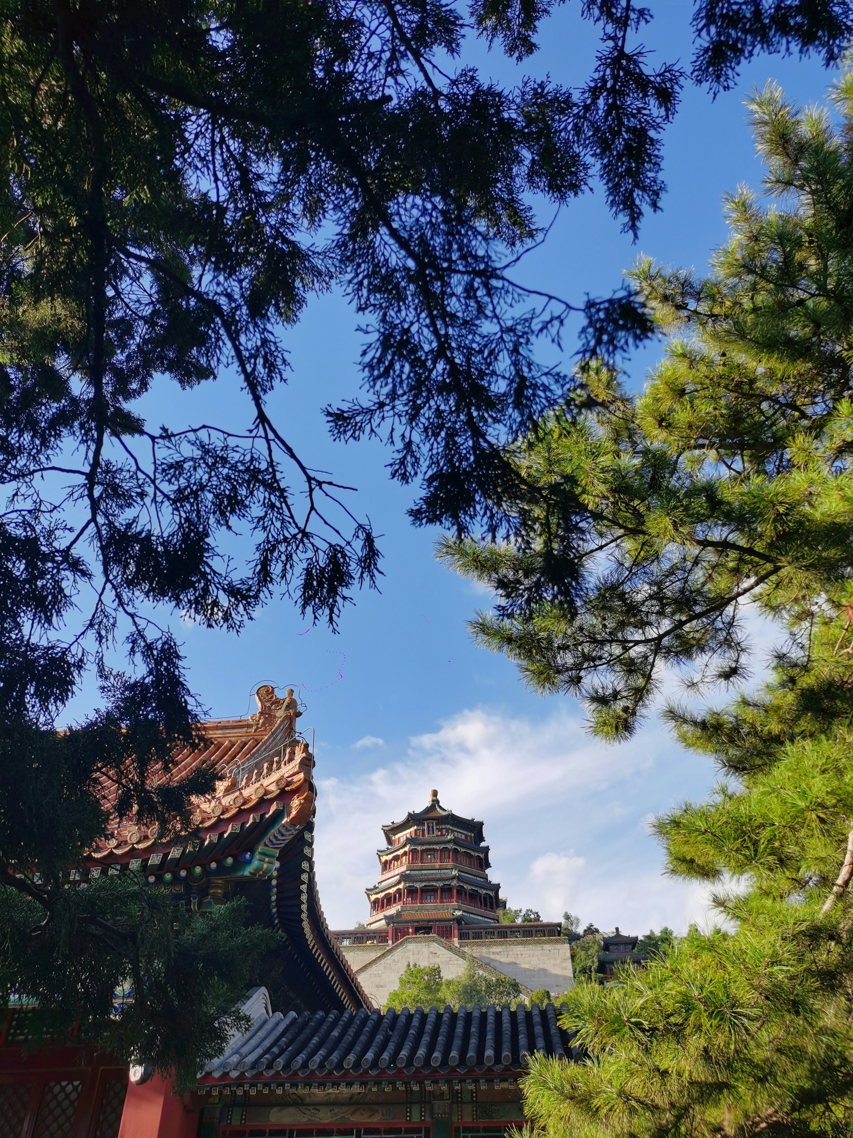 Photo by dawenwen