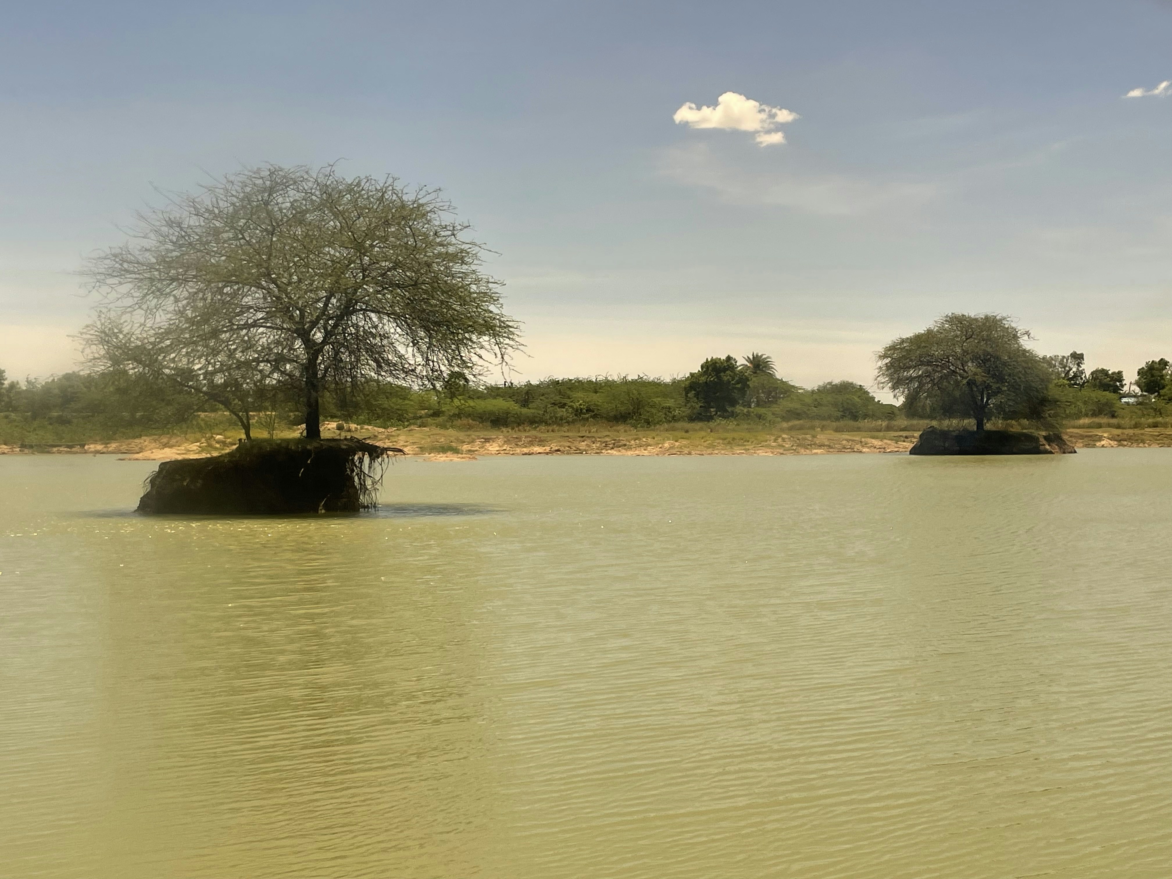 Photo by prakashak