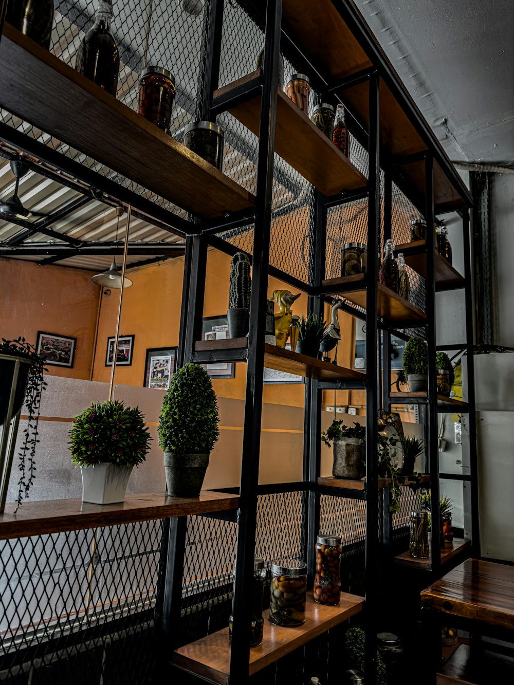 a shelf filled with potted plants next to a refrigerator