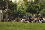 A group of people sitting on the grass in a park, engaging in conversation and enjoying an outdoor gathering. Trees create a shaded canopy above, and additional people can be seen in the background walking and biking. A table with refreshments is nearby.
