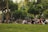 Community members gathering in a neighborhood park discussing local initiatives.