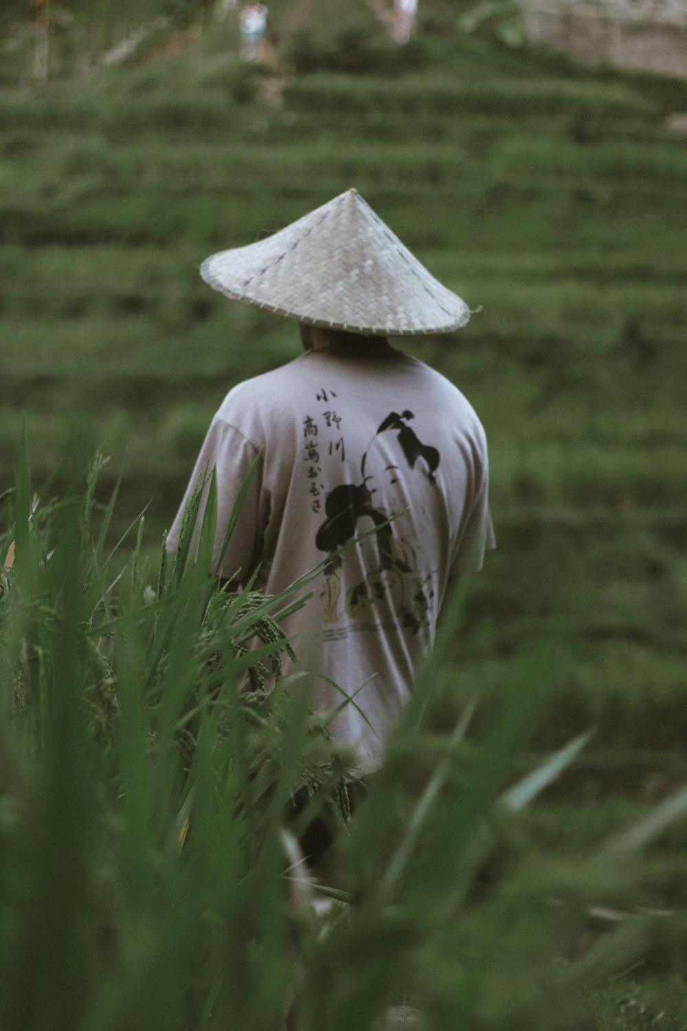 a person with a hat walking in a field
