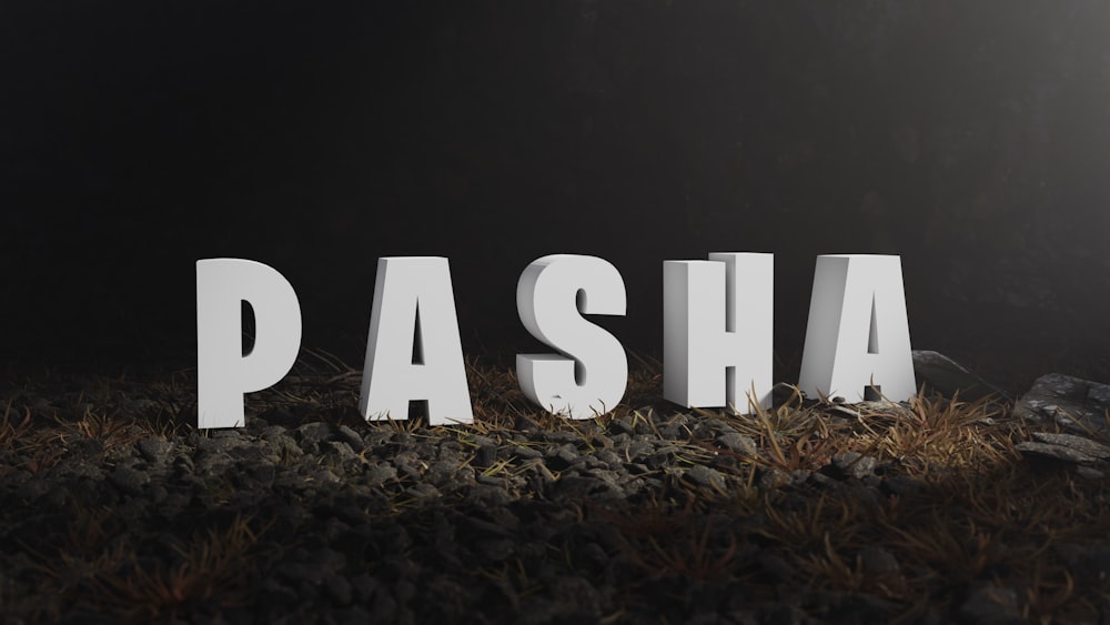 the word pasha spelled with white letters on a bed of rocks