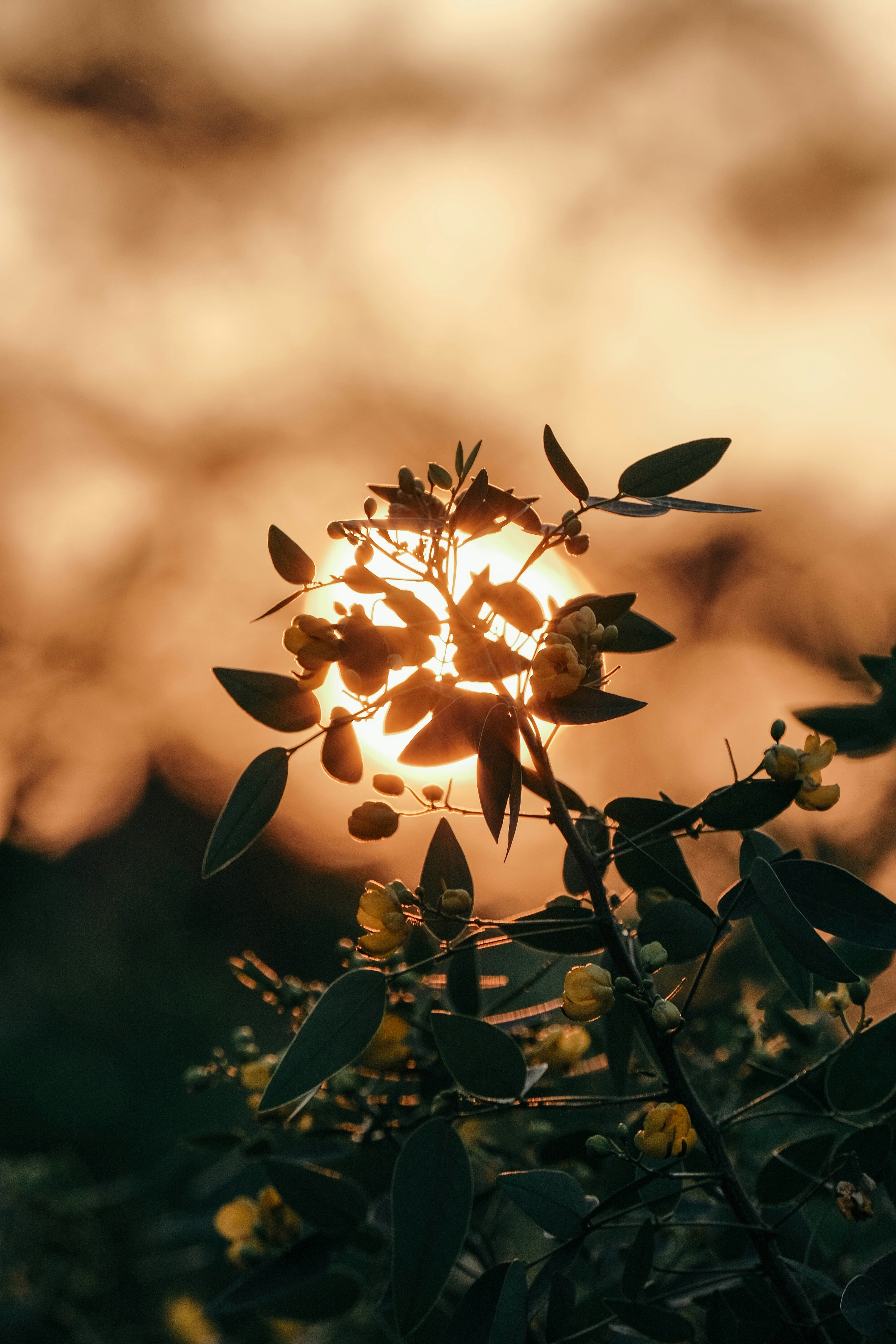 Photo by insungpandora