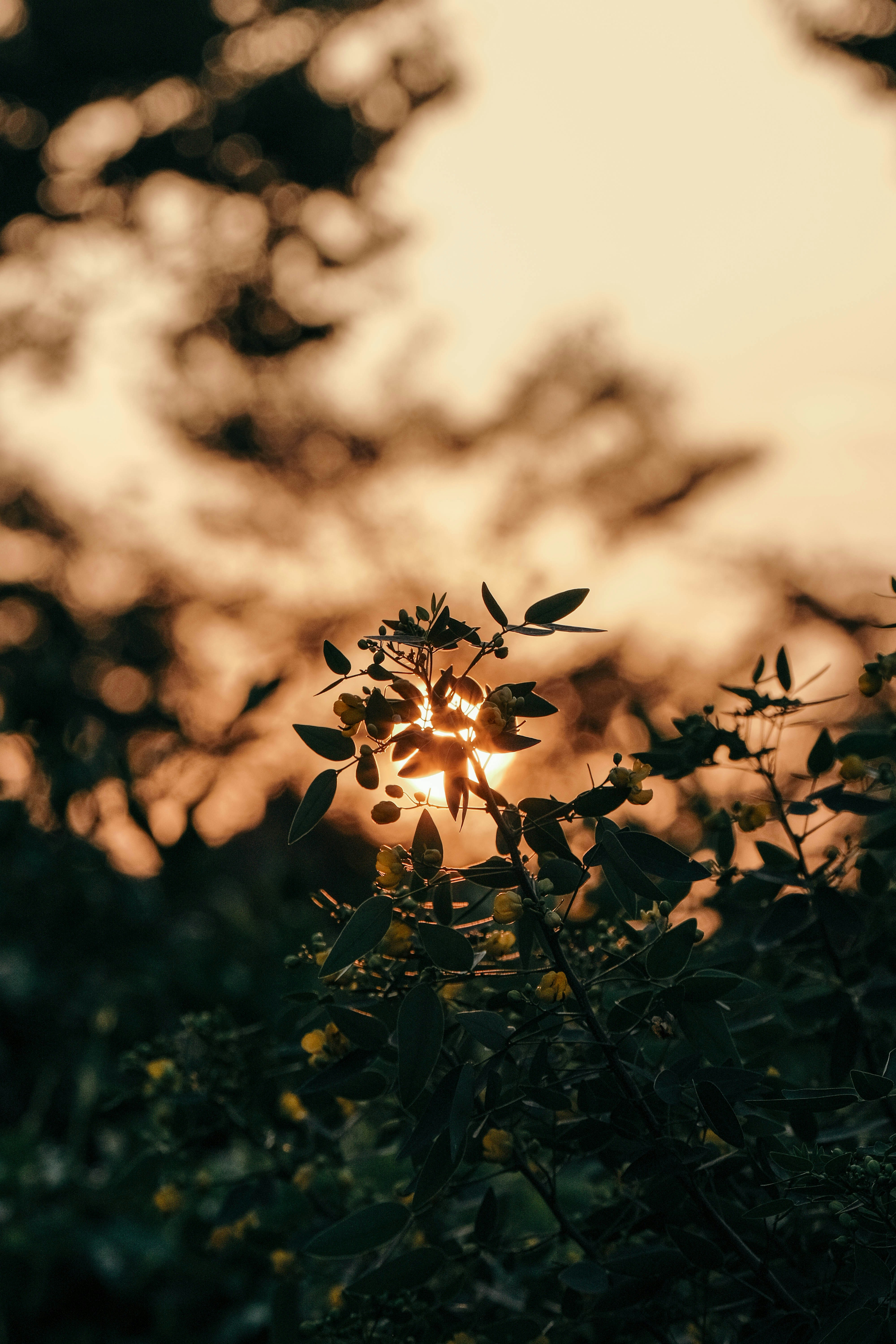 Photo by insungpandora