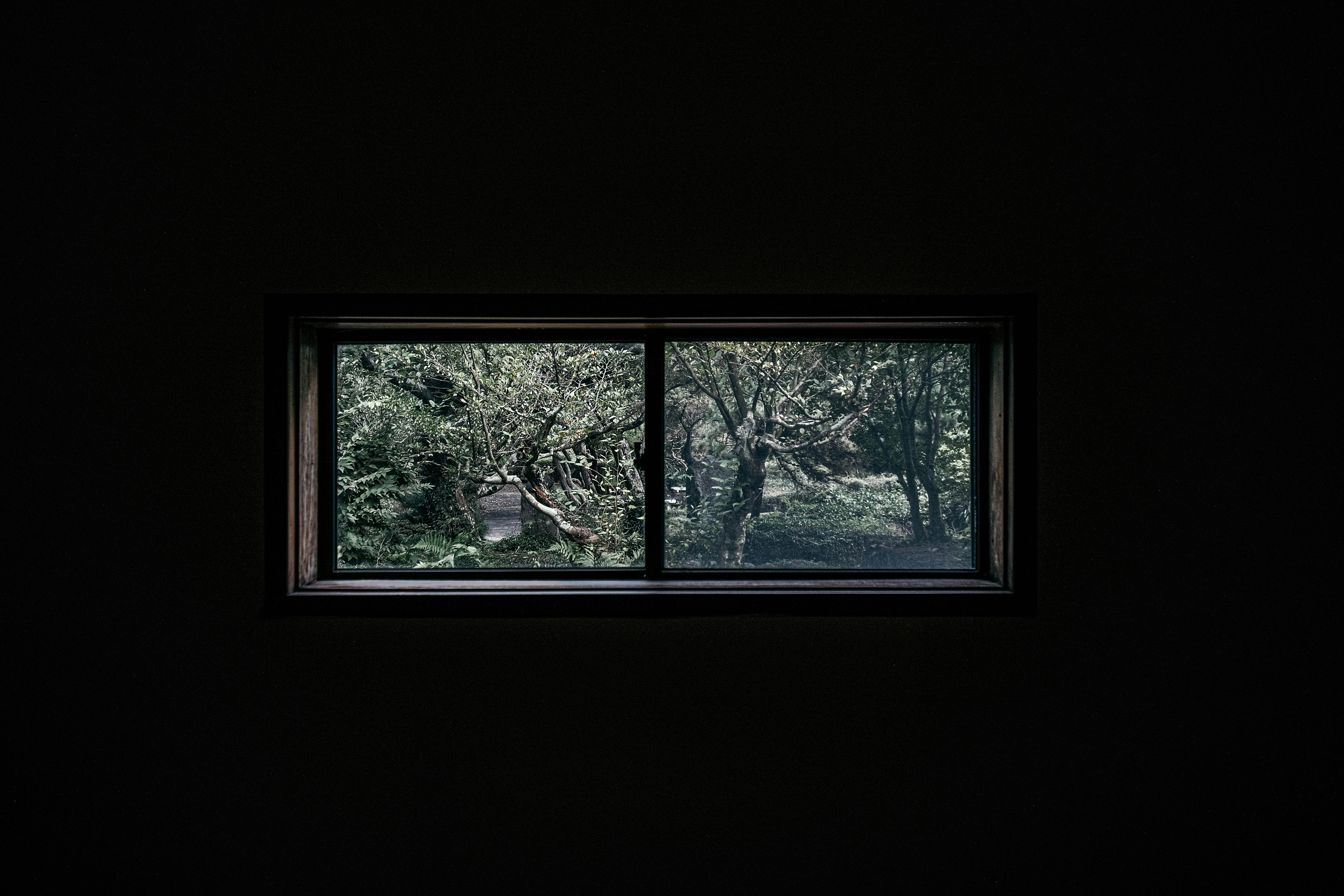 Photo by insungpandora