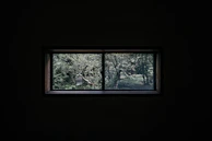 Large window view showing a peaceful garden outside the Pilates studio.