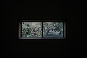 A view of the deluxe room’s window showing a peaceful garden outside, inviting calm and relaxation.