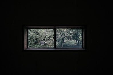 View of the hospital garden visible from the Deluxe Room window, offering a tranquil atmosphere.