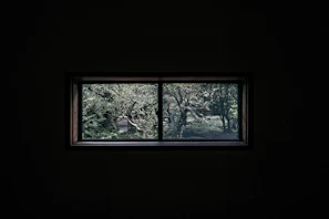 Window view showing a peaceful garden outside, suggesting a serene environment for healing