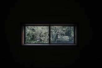 Window view showing a peaceful garden outside, suggesting a serene environment for healing
