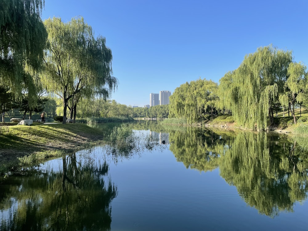 a body of water surrounded by trees and grass