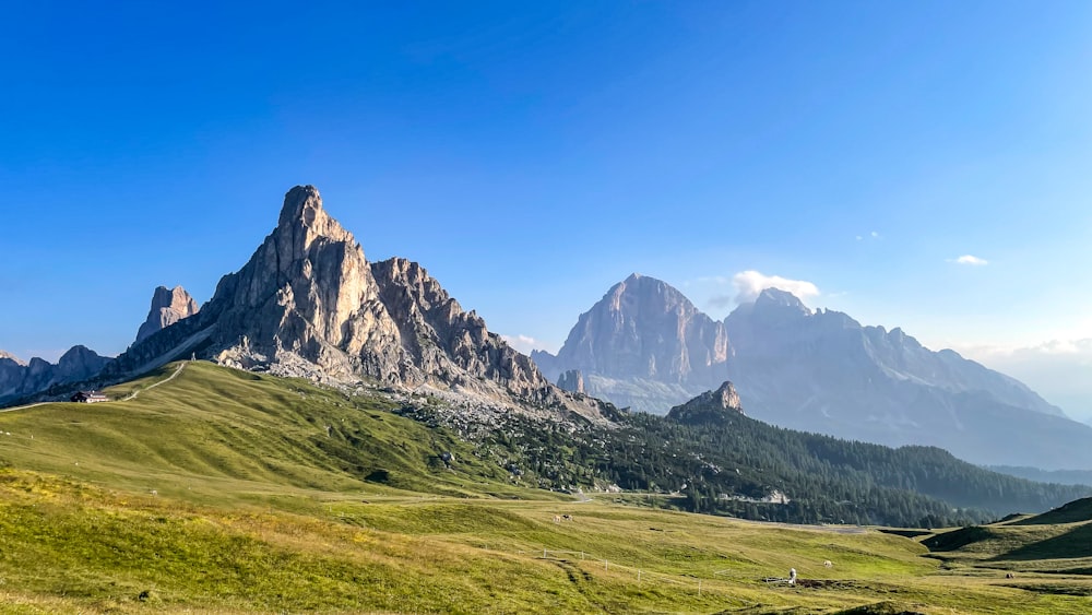 a grassy field with mountains in the background