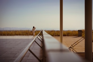 A person standing on a tiled platform overlooking a railing with grassy vegetation and distant mountains under a clear sky. The platform includes large poles and sturdy cables, suggesting an architectural setting.