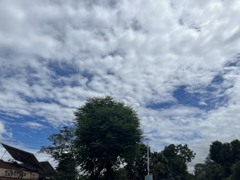 A landscape view featuring a mostly cloudy sky with patches of blue. There are several trees in the foreground, with a lush green canopy. A structure with a visible roof and a sign saying 'SHOP' is partially seen on the left. Power lines and a utility pole are also visible.