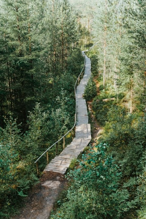 An elevated pathway weaving through tall grasses and wildflowers, showcasing seamless terrain integration.