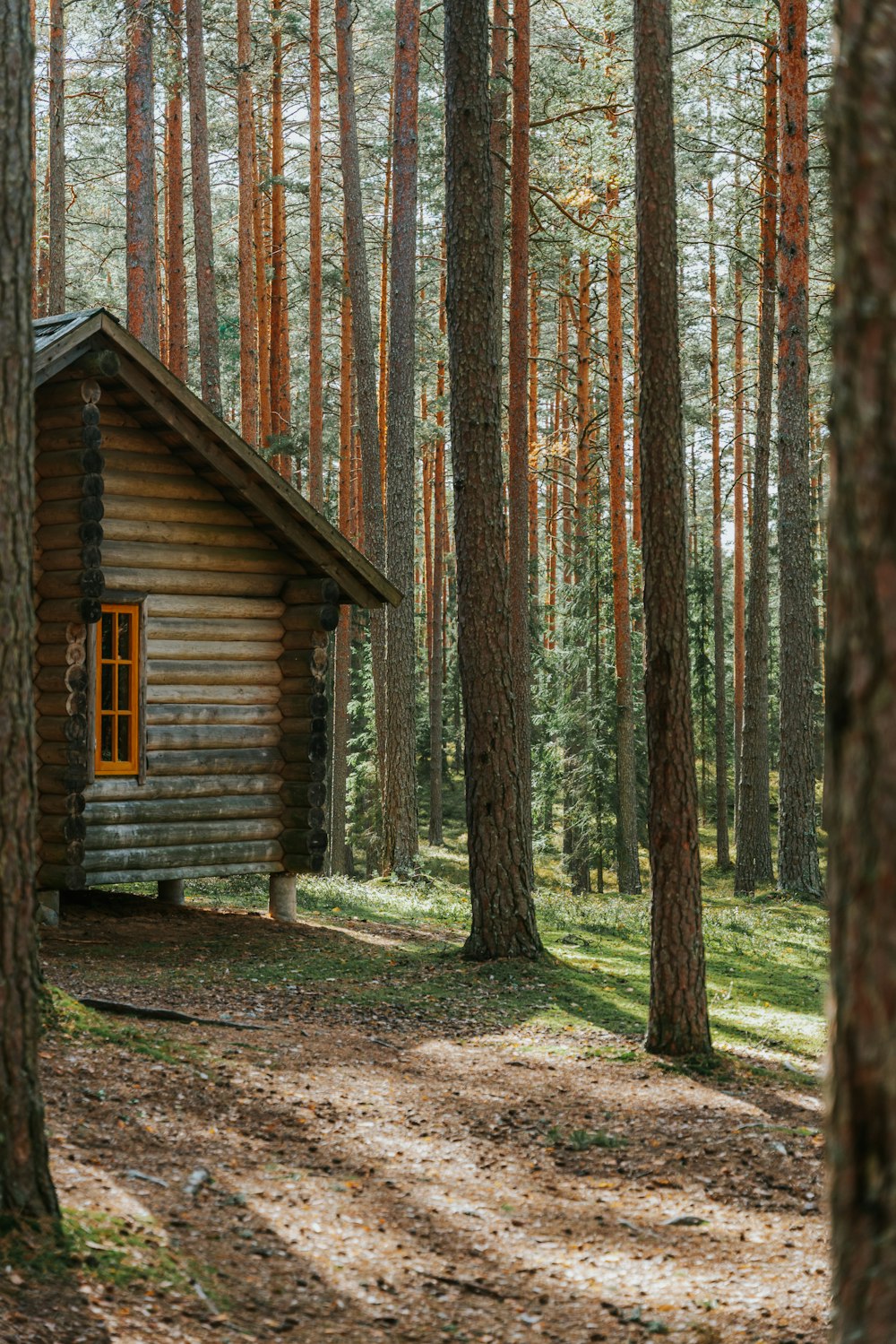 a log cabin in the woods with a path leading to it