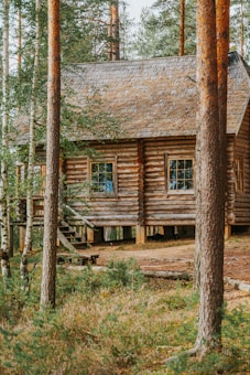 A rustic log cabin surrounded by tall trees in a forest setting, with a sloped shingle roof and wooden stairs leading to the entrance. The cabin is elevated off the ground and nestled among lush greenery, creating a cozy and secluded atmosphere.