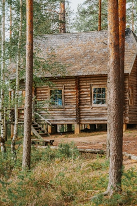 A rustic log cabin surrounded by tall trees in a forest setting, with a sloped shingle roof and wooden stairs leading to the entrance. The cabin is elevated off the ground and nestled among lush greenery, creating a cozy and secluded atmosphere.
