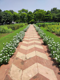 Spacious backyard garden with a stone pathway and blooming flowers under a clear blue sky.