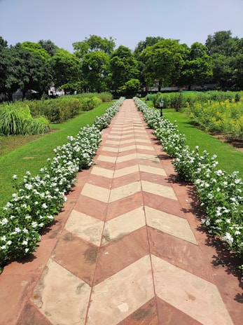 A charming stone pathway winding through vibrant greenery under a soft sky.