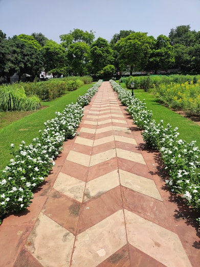 A vibrant garden featuring interlocking stone pathways surrounded by lush greenery under a clear sky.