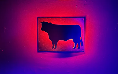 Mystical Taurus bull icon illuminated with gold and deep blue neon lights.