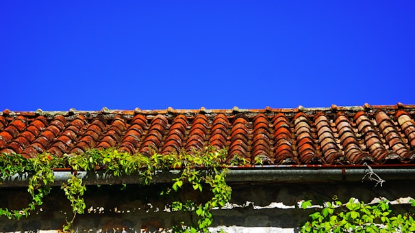A traditional clay-tiled roof with varying shades of red and brown. Green leafy vines are creeping up the sides of the building, and the sky above is a clear, vivid blue.