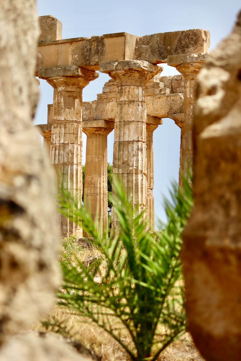 the ruins of the ancient city of palmyrate