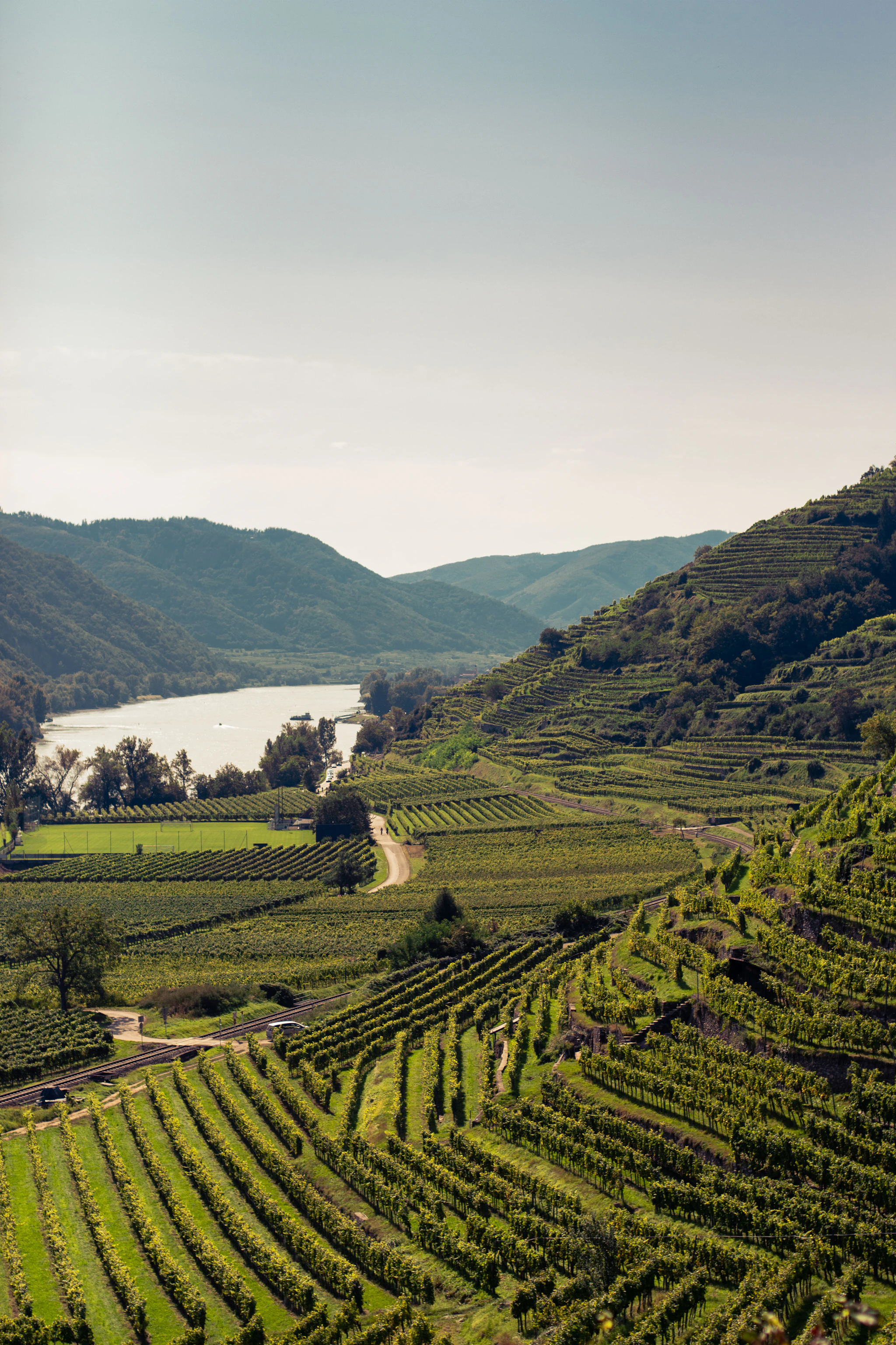Veneto