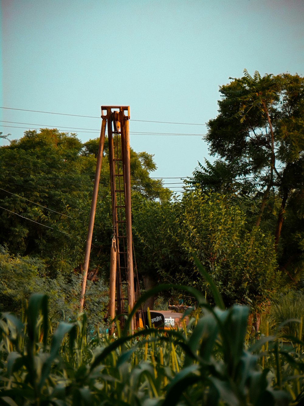 a tall wooden tower sitting in the middle of a forest