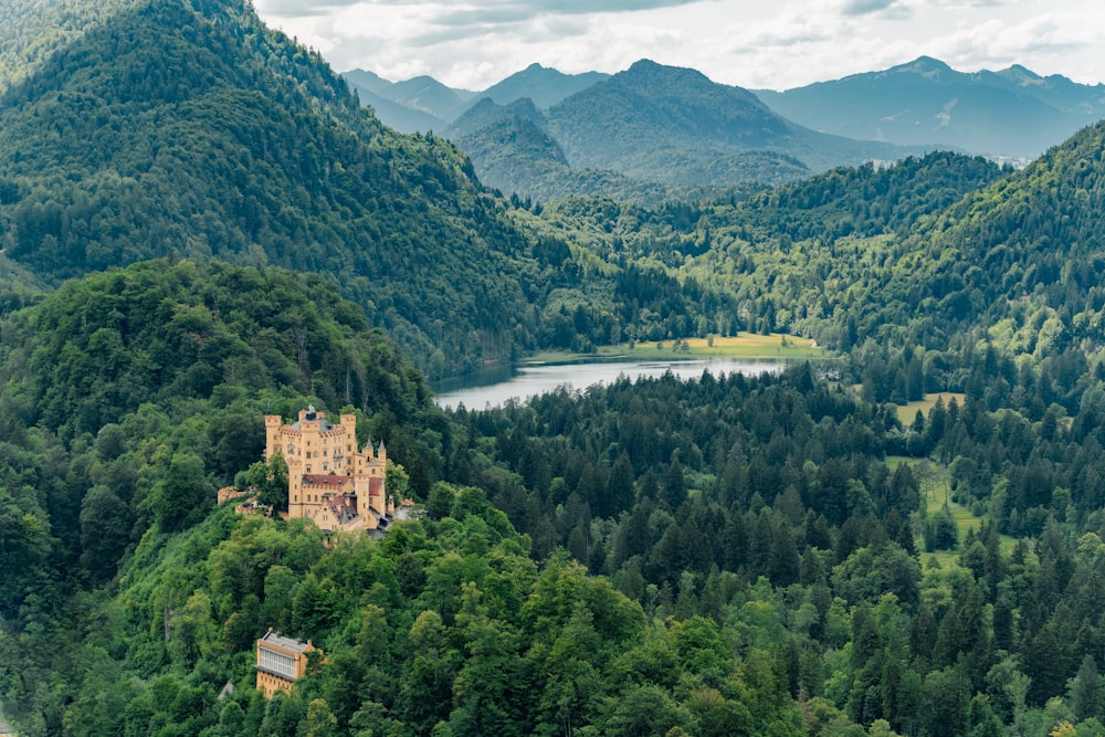 a castle in the middle of a forest