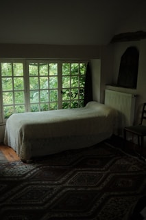 A cozy room with a single bed covered in a light quilt positioned against a wall with a large window showing lush green foliage outside. The room is dimly lit with shadows on the intricately patterned rug on the floor. A radiator is mounted on the wall next to a simple wooden chair.