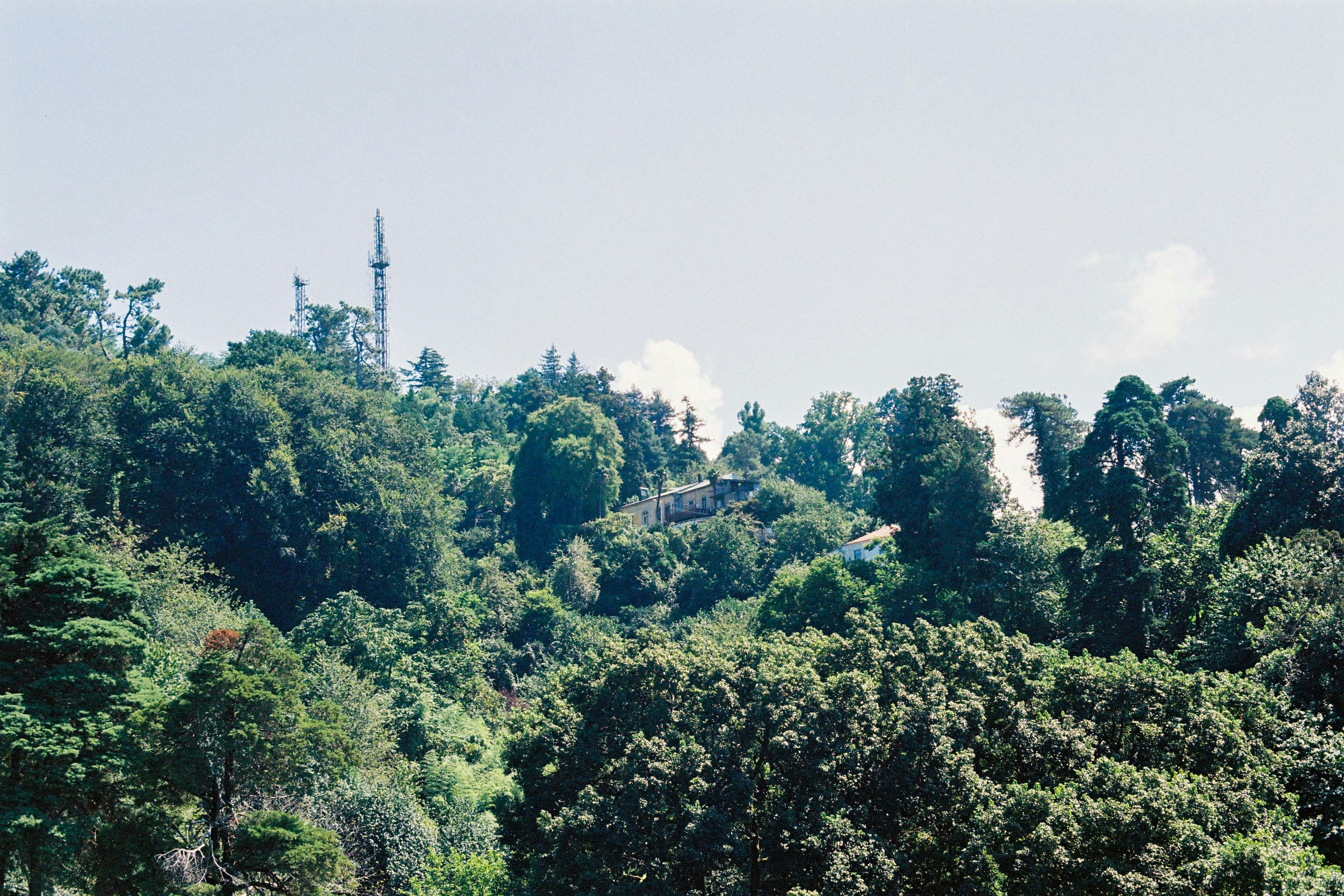 Conservation Challenges and Modern Threats (image credits: unsplash)