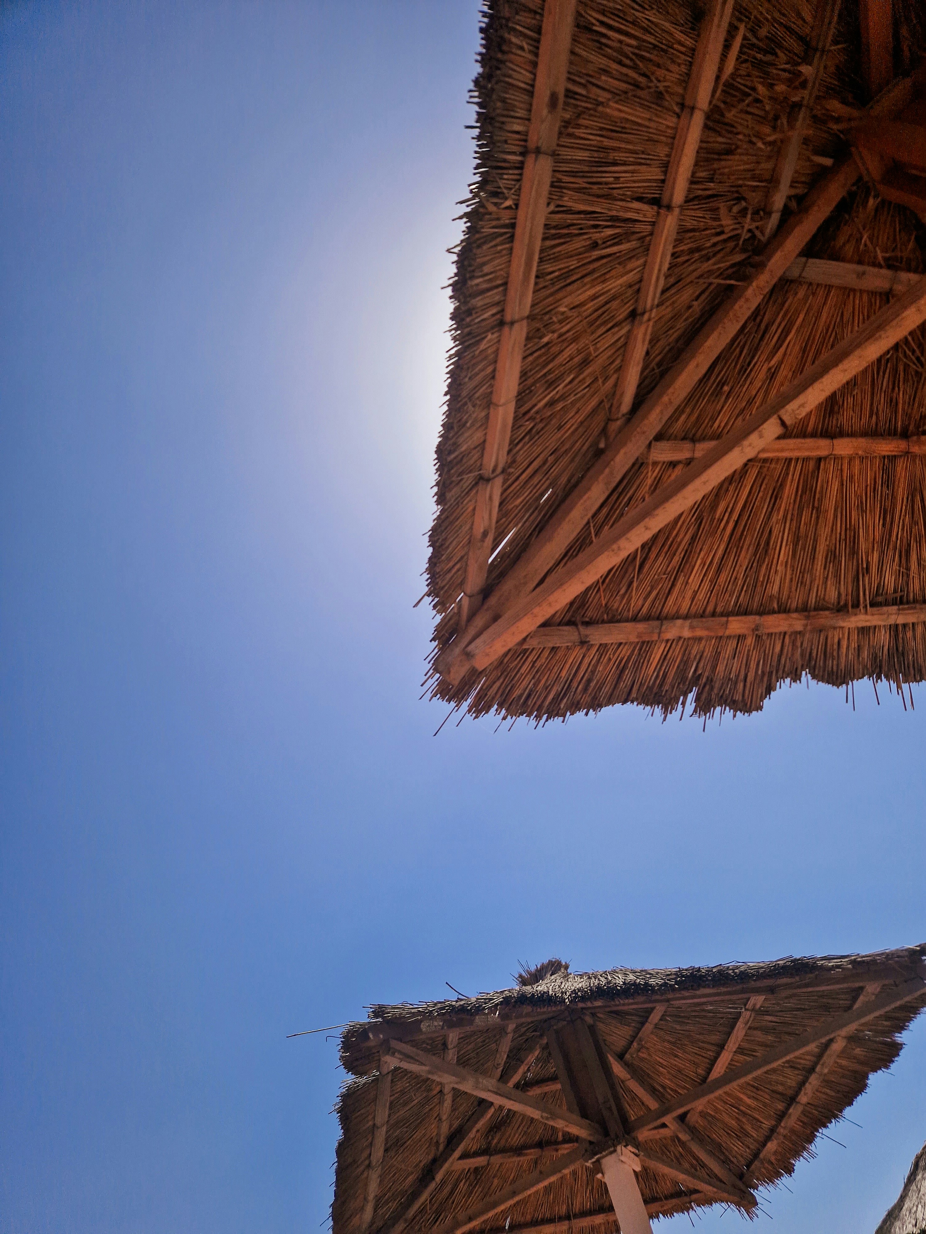 Photo by adelaideandreea